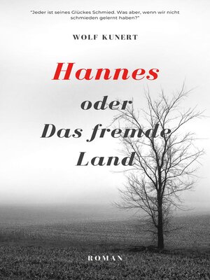 cover image of Hannes oder Das fremde Land